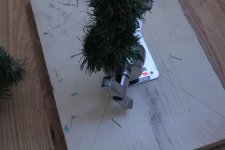 IMG_3259.jpg