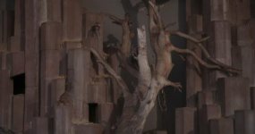monkeys_raw.jpg monkeys_raw.jpg