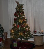 IMG_3266 cropped.jpg