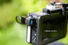 Updated C100 with SWIT 02a.jpg