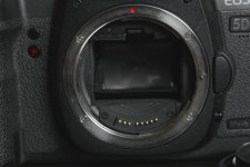 IMG_4129.jpg