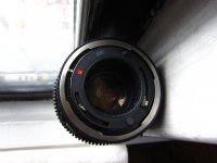 IMG_3495.jpg