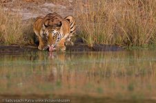 Sabyasachi_20080512_0426.jpg