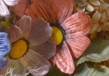 Neutral Flowers Graded Up.jpg Neutral Flowers Graded Up.jpg