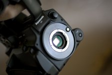 QV6Z9613.jpg
