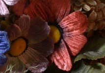 Neutral Flowers Ungraded.jpg Neutral Flowers Ungraded.jpg