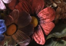 Custom Flowers Graded Down.jpg Custom Flowers Graded Down.jpg