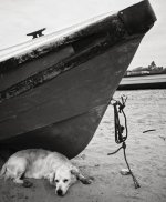 L1001872-Toned.jpg