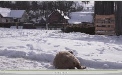 snow.jpg snow.jpg
