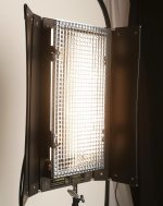 8U5A4267.jpg
