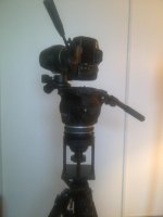 Oakville-20120809-00360.jpg