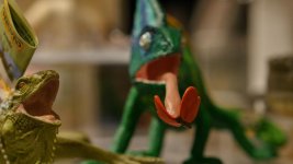 Nocticron Museum 4.jpg