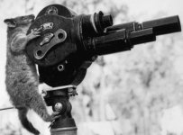 Vilmos Squirrel one.jpg