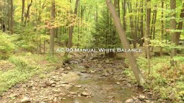 AC-90 Manual WB.jpg AC-90 Manual WB.jpg