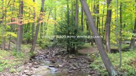 Vixia Auto WB 002.jpg Vixia Auto WB 002.jpg