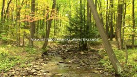 Vixia Manual WB 001.jpg