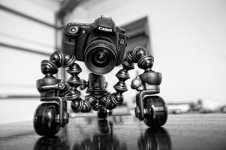 CineSkates_Garage_-_l__84283_zoom.jpg CineSkates_Garage_-_l__84283_zoom.jpg