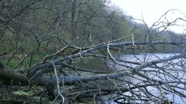 Image4.jpg Image4.jpg