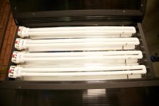 Cool Lights- 3.jpg Cool Lights- 3.jpg