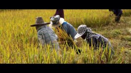 Harvest Home.mp4_snapshot_02.10_[2013.05.04_10.43.38].jpg