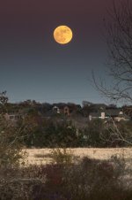 Denton-Moonrise.jpg