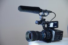 fs100.jpg