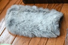 DSC_3313.jpg DSC_3313.jpg