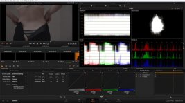 Resolve10 scopes.jpg Resolve10 scopes.jpg