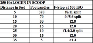 250 halogen in scoop.jpg 250 halogen in scoop.jpg