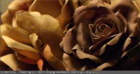 Low Light FM2 24H 2X.jpg Low Light FM2 24H 2X.jpg