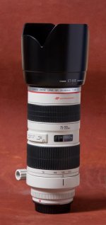 Canon70-200-1.jpg