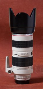 Canon70-200-2.jpg