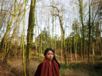 forest_brus.jpg