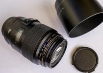 canon100.jpg