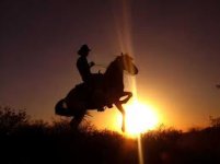 Cowboy on horse.jpg