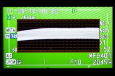 WFM-2.jpg