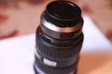 IMG_7978.jpg