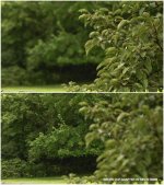 DOF TEST 1.jpg