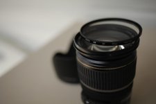 _MG_9228.jpg