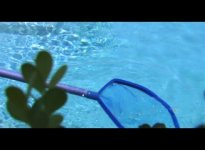 Pool SS.jpg