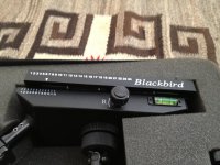 blackbird1.jpg blackbird1.jpg