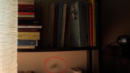 spot.jpg