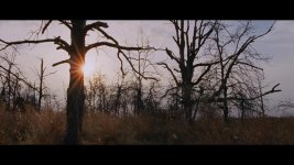 TO THE WONDER - OFFICIAL TRAILER (HD).mp4.Still004.jpg
