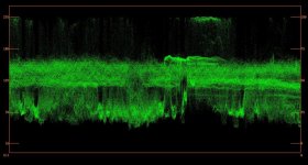 D5200_YWaveform.jpg