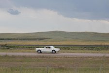 IMG_7038.jpg