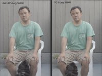 AVCHD_7Q_01.jpg