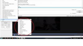 Subtitle options.jpg