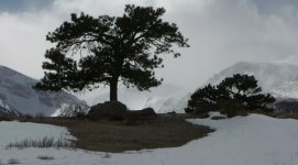 Estes 2.jpg