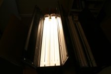 IMG_5019.jpg