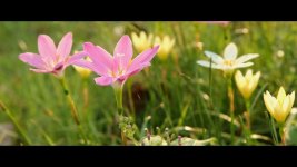 The Earth Element.mp4_snapshot_03.37_[2013.07.27_16.18.55].jpg